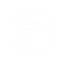 BDX Logo